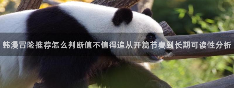 歪歪漫画热门推荐:韩漫冒险推荐怎么判断值不值得追从开篇节奏到长期可读性分析